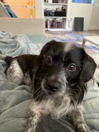 Hi! I'm Lenny!