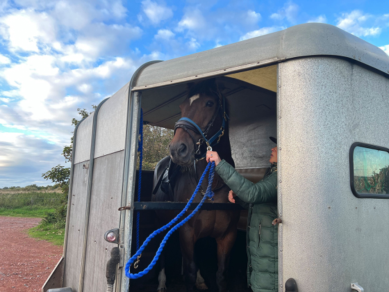 Developing A Large Animal Preparedness Plan