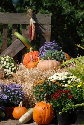 An autumn display of mums, straw bales, pumpkin and ornamental squash dress up this landscape. | www.MelindaMyers.com