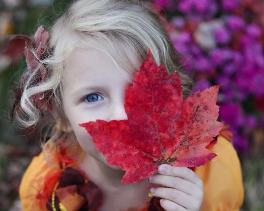 Five Ways to Get Outdoors This Autumn