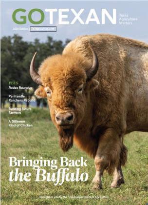 Magazine Cover