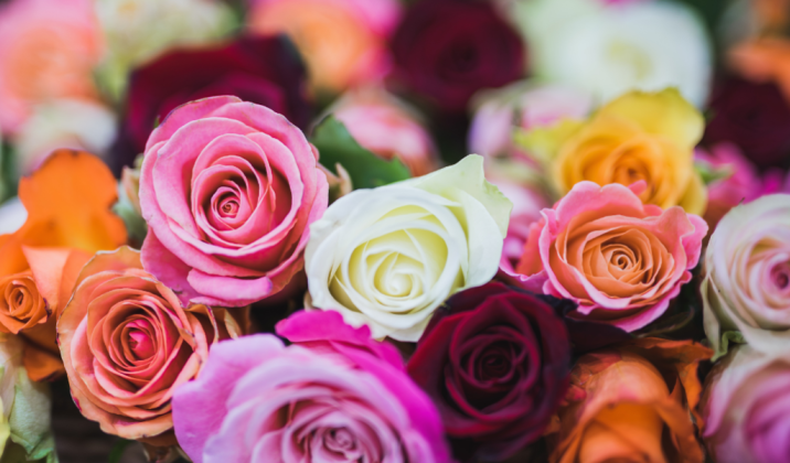 Don't Toss Those Roses! Get Creative!