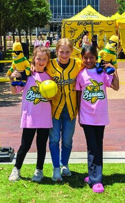 Banana Ball Game