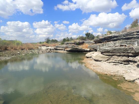 Friends of the San Saba (FOSS)