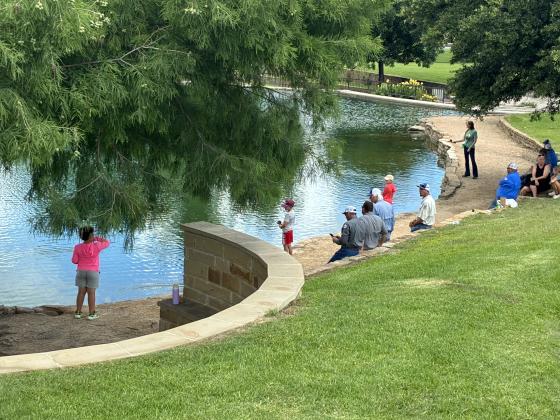 “Kids’ Nature Kamp” 2026 at Mill Pond Park &amp; San Saba Senior Center Backyard