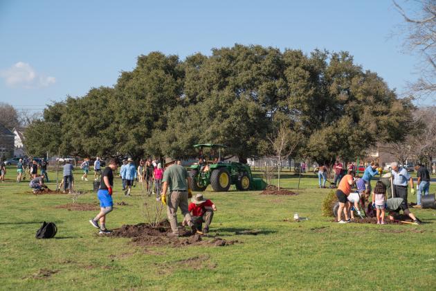 College Station Tree Planting | Courtesy Texas A&amp;M Agrilife