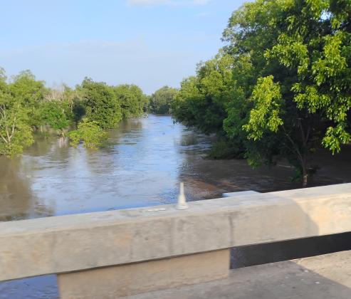 You can see from this photo taken at 7:30 a.m. on July 19, 2026, that the San Saba River is still out of its banks. At this time, the river had gone down to 24.38 feet according to the National Weather Service. The LCRA hydromet website states the river reaches flood stage at 24 feet. Photo by Carolyn Preece