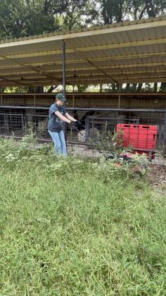 A teen girl from Westhill Church of Church of Christ mowing