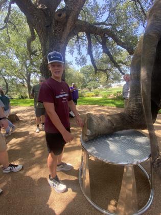 Lee touching an elephant’s foot