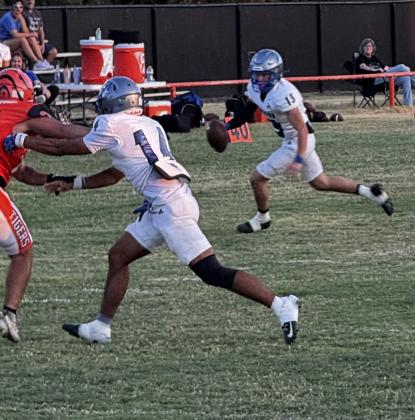 Richland Springs defeats Gustine