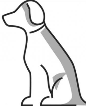 Dog Training Is My Passion!