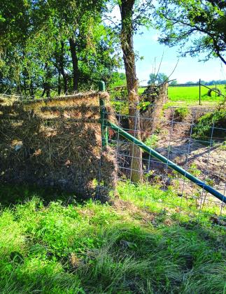 Seen here is where some of the old fence meets the new fence. Photo by Djuana Payton