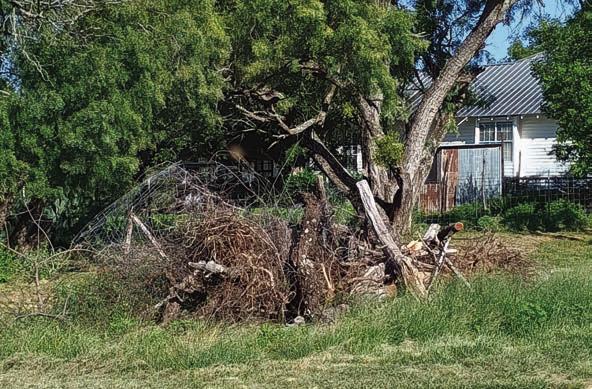 This is one of the many fence/brush piles made by the volunteers from Max Services in DeQuincy, Louisiana. Photo by Djuana Payton