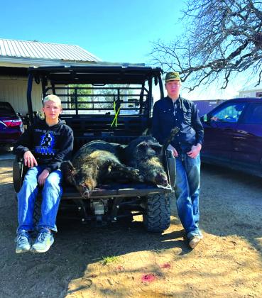 Trendon Vogel and Dalton Moats bagged two huge feral hogs. Photo taken by Evan Deeds; courtesy of Paige Moats