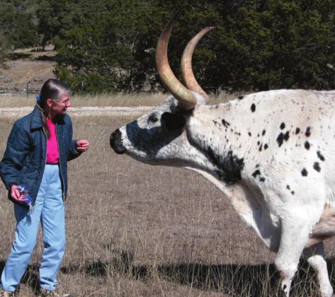 Priscilla loved ALL animals, even those that were not native.