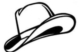 Alt Text for Image