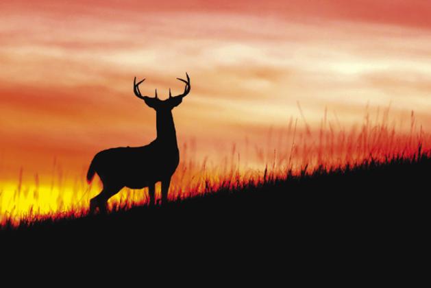 Operation Orphans takes kids hunting and needs your help