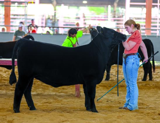 Taylor Wise is New Member of American Angus Association