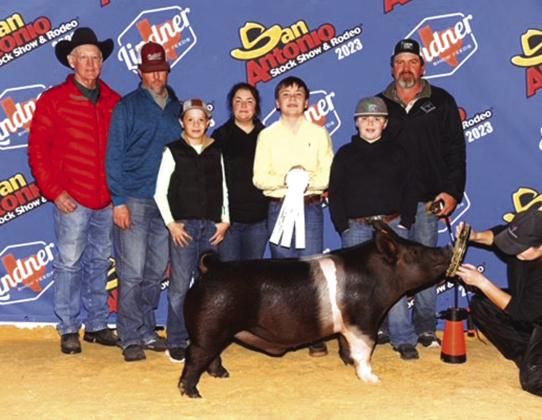 Jack Stewardson – 3rd Place Hampshire Barrow pictured above at San Antonio Livestock Show Also, Jack Stewardson won 7th Class 4 Black Cross Steer at Houston Livestock Show. Courtesy of Myia Stewardson