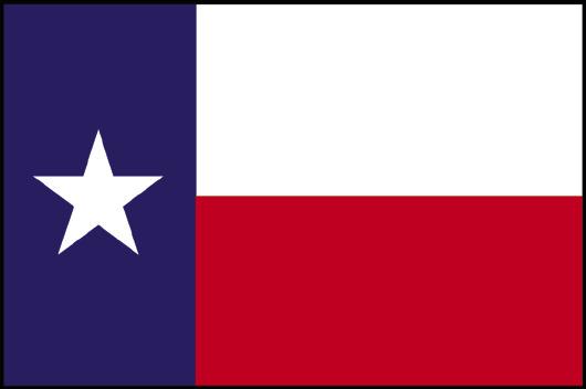 Alt Text for Image