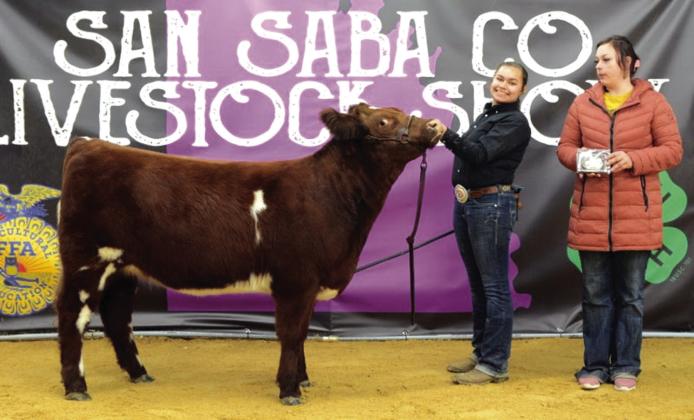 Senior Cattle Showmanship - Skyla Shannon