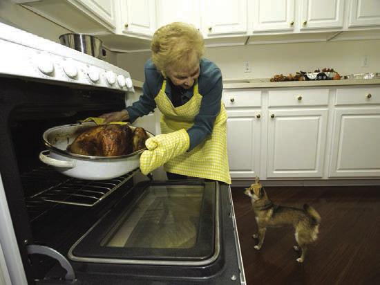 Avoid giving table food to your pets, but for a special Thanksgiving treat, you can give some bites of turkey with the skin removed and no gravy, plain green beans or a bite of bread. Getty Images