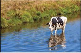 Texas Farm Bureau files legal challenge to new WOTUS rule