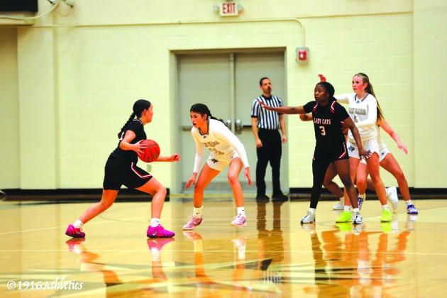 Great season ends for San Saba Lady Dillos basketball
