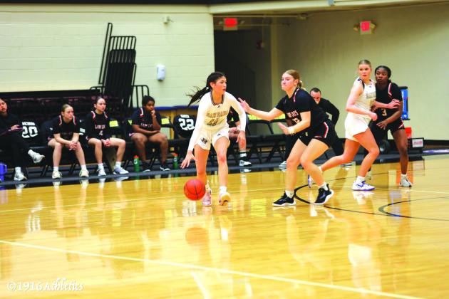 Great season ends for San Saba Lady Dillos basketball