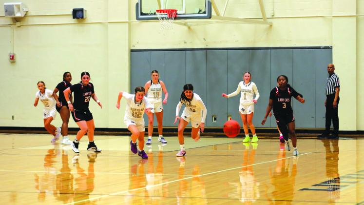 Great season ends for San Saba Lady Dillos basketball