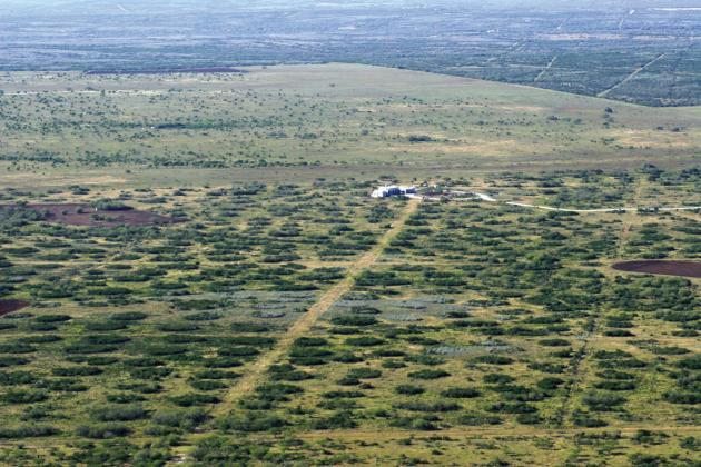 This is an aerial view from a helicopter that shows habitat management/wildlife management usage in the foreground and brush removal for livestock management in the background. Courtesy of Macy Ledbetter www.SpringCreekOutdoors.com