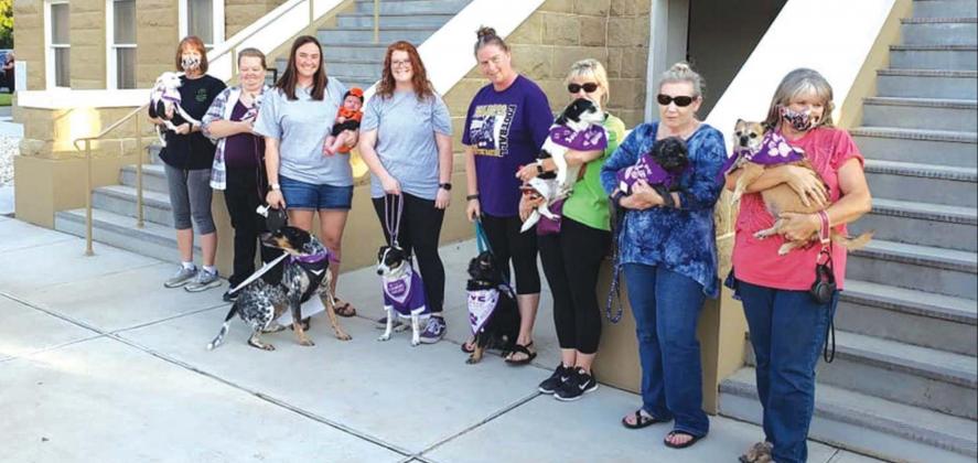 Dove Project holds Purple Paw Parade for Domestic Violence Awareness Month