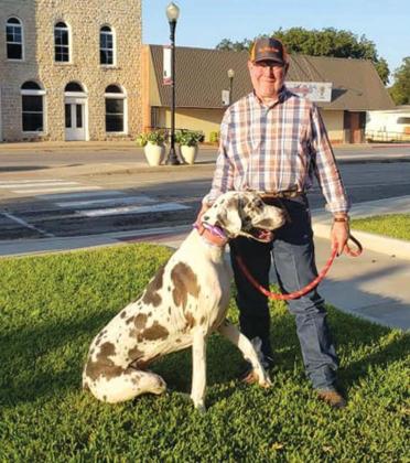 Dove Project holds Purple Paw Parade for Domestic Violence Awareness Month