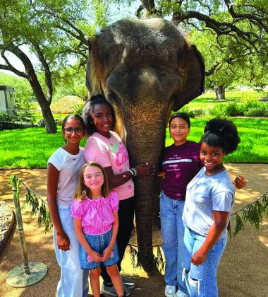 Anika, Analyn, Summer, Trulee, Ariana
