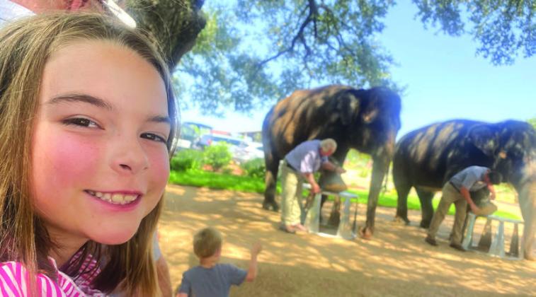 Analyn learning about how the trainers care for the elephants’ feet
