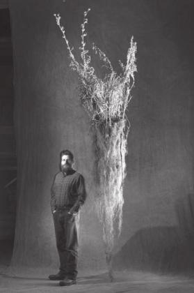“A photo of a demonstration where different prairie grasses were planted in a VERY tall container. And after some growth period, the container was opened, and the dirt washed off to show this mass of roots.”