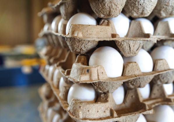 While the ongoing outbreak of avian influenza is the main factor behind rising egg prices, factors like inflation and increased demand are also playing a significant role, says Texas A&amp;amp;M associate professor Gregory Archer. Laura McKenzie/Texas A&amp;amp;M AgriLife Communications