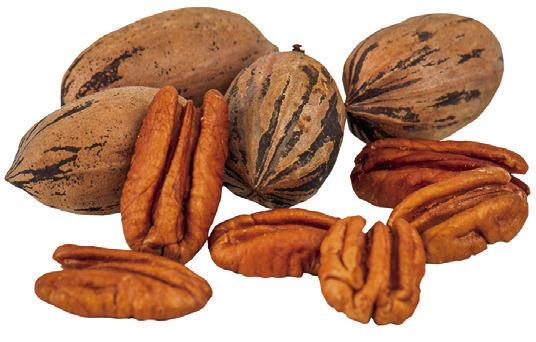 Pecans could help maintain body weight and prevent diabetes despite consuming a high fat diet, research shows. Pecans can be consumed directly or utilized in the growing markets of functional foods and dietary supplements. Laura McKenzie/Texas A&amp;amp;M AgriLife Marketing and Communications