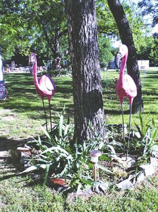 May Yard of the Month