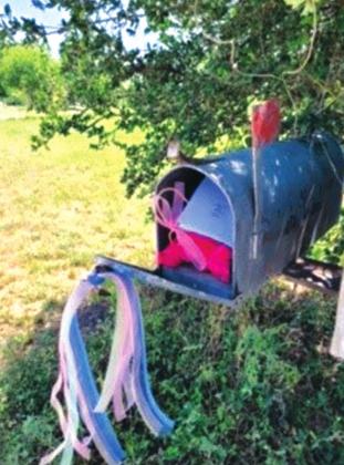 Hyacinth &amp; Aaron Bessett’s mailbox