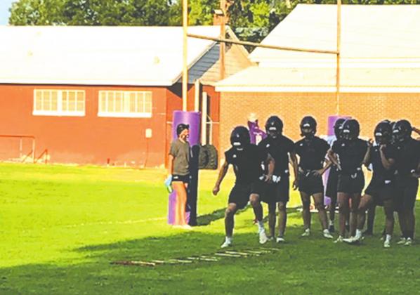Armadillo two-a-days begin