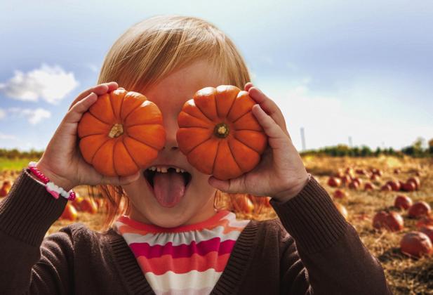 Harvesting Texas Traditions