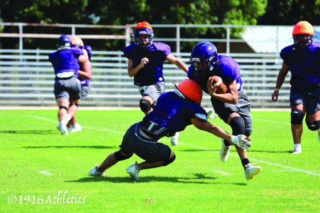 Armadillo Purple/Gold scrimmage
