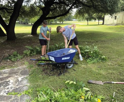 Lee and Vince removing stumps