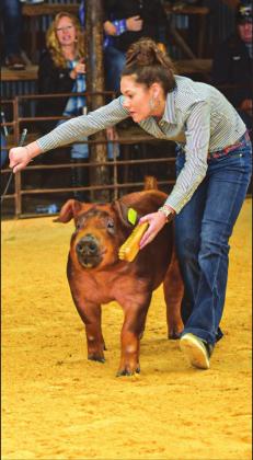 Junior Winners at the San Saba County Livestock Show