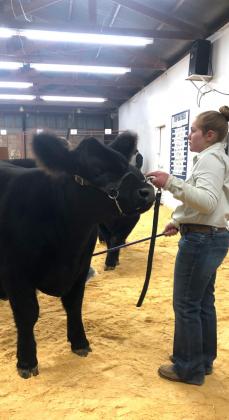 Junior Winners at the San Saba County Livestock Show