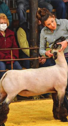 Junior Winners at the San Saba County Livestock Show
