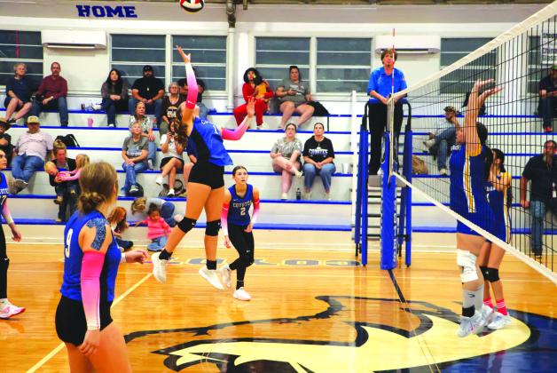 #1 Paige Bailey, # 2 Emma Bryant, and #9 Jayden Jordan