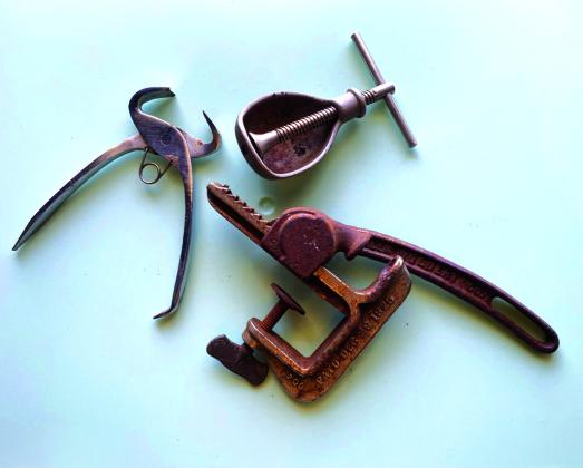 Nut Cracker Set