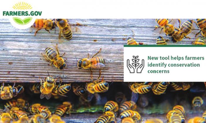 New Farmers.gov Conservation Concerns Tool provides customized support for America’s farmers and ranchers